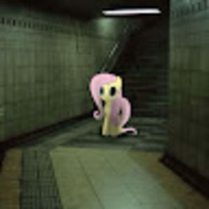 Meet your Posher, Tanner